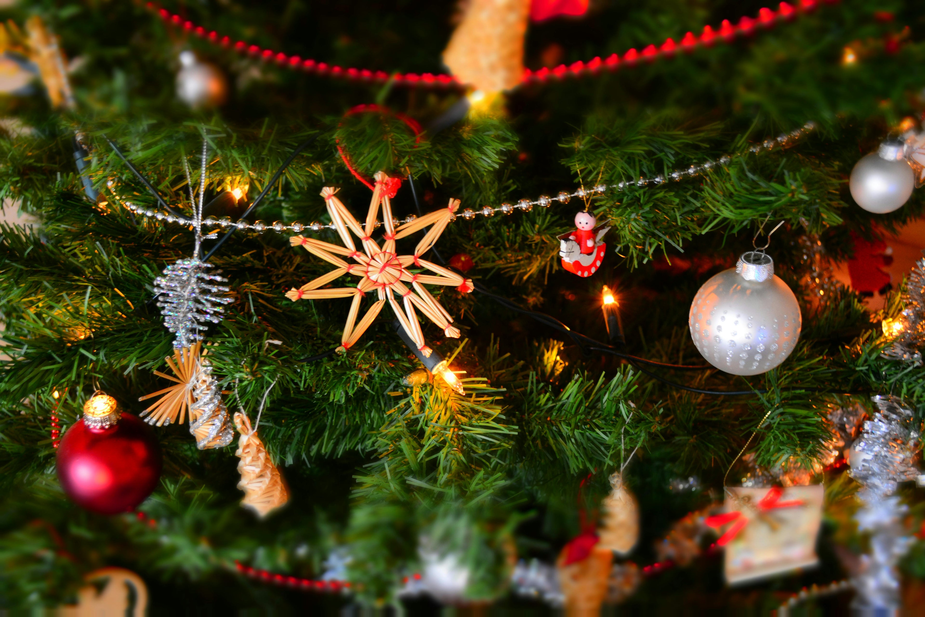Christmas Range