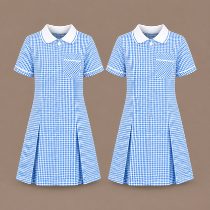 Pack of 2 Girls Gingham Check Pleated Dress | 7 Colours