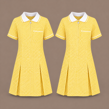 Pack of 2 Girls Gingham Check Pleated Dress | 7 Colours