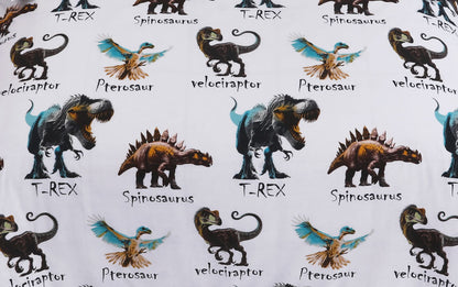 Dinosaur Duvet Cover Set