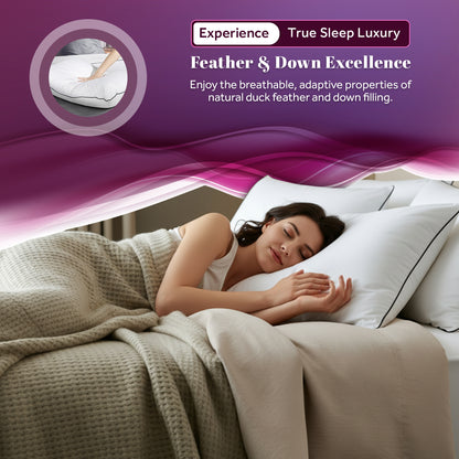 Duck Feather & Down Pillows | Pack of 2