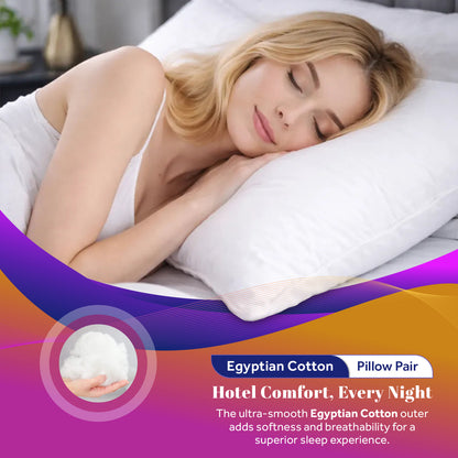 Egyptian Cotton Pillow Pair