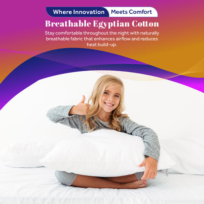 Egyptian Cotton Pillow Pair