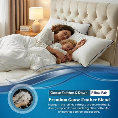 Goose Feather & Down Pillows | Pack of 2