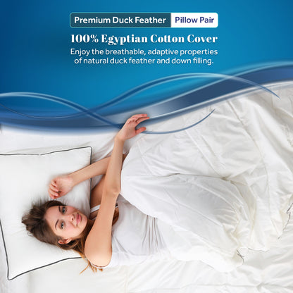 Goose Feather & Down Pillows | Pack of 2