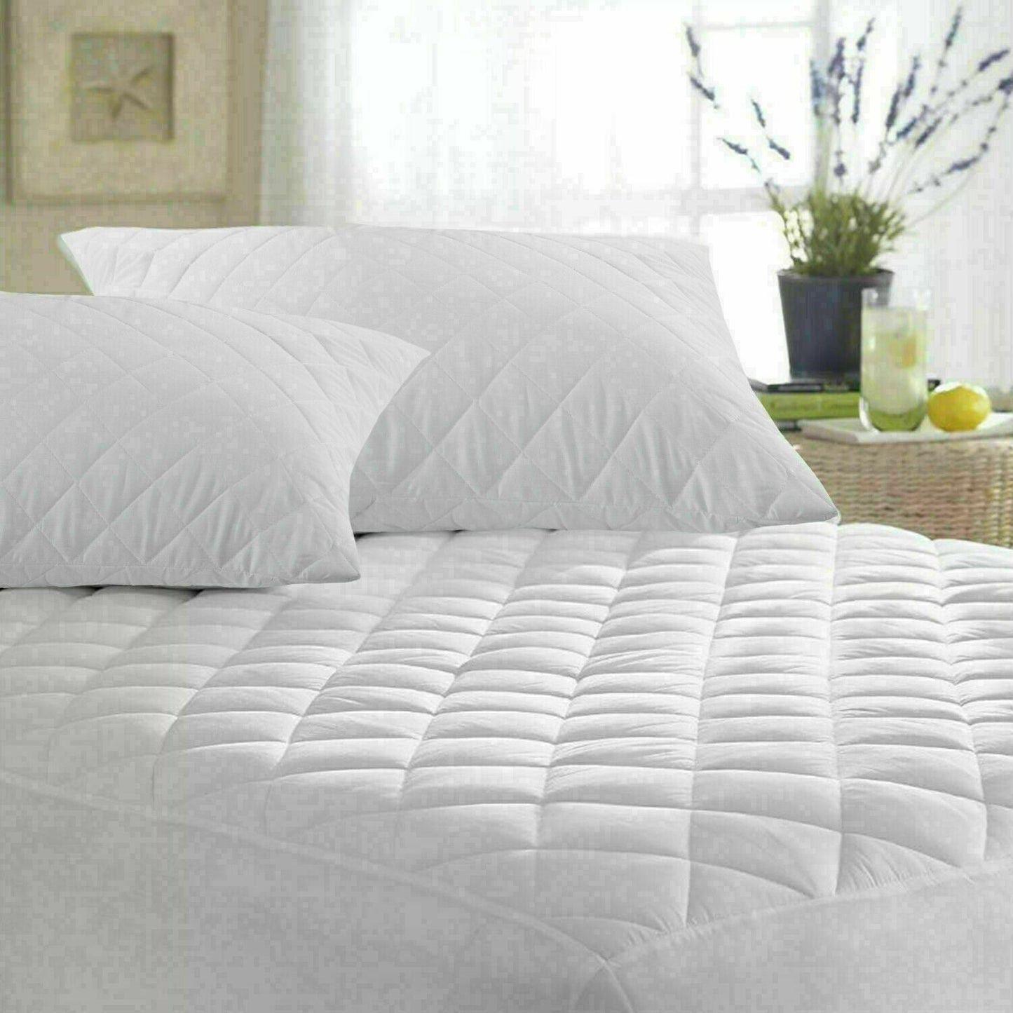 Egyptian Cotton Quilted Mattress Protectors