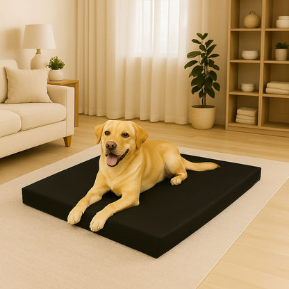 Large Waterproof Pet Mats | 6 Colours